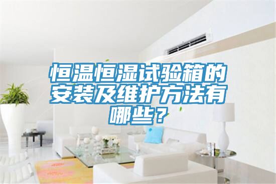 恒溫恒濕試驗(yàn)箱的安裝及維護(hù)方法有哪些？