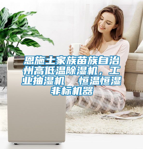 恩施土家族苗族自治州高低溫除濕機，工業(yè)抽濕機  恒溫恒濕非標機器