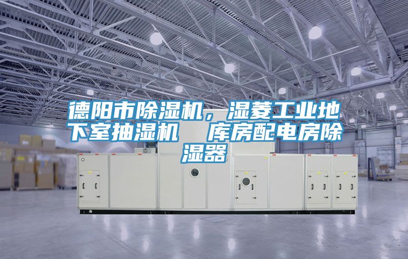 德陽市除濕機，濕菱工業(yè)地下室抽濕機  庫房配電房除濕器