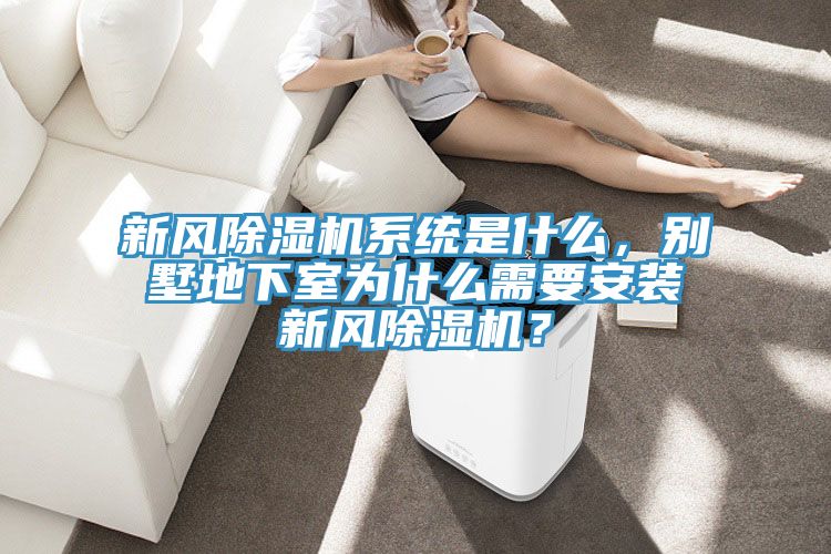 新風(fēng)除濕機(jī)系統(tǒng)是什么，別墅地下室為什么需要安裝新風(fēng)除濕機(jī)？