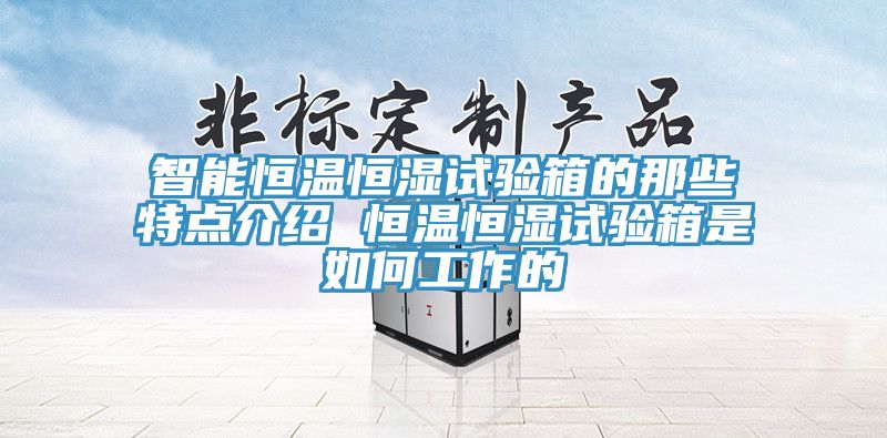 智能恒溫恒濕試驗(yàn)箱的那些特點(diǎn)介紹 恒溫恒濕試驗(yàn)箱是如何工作的