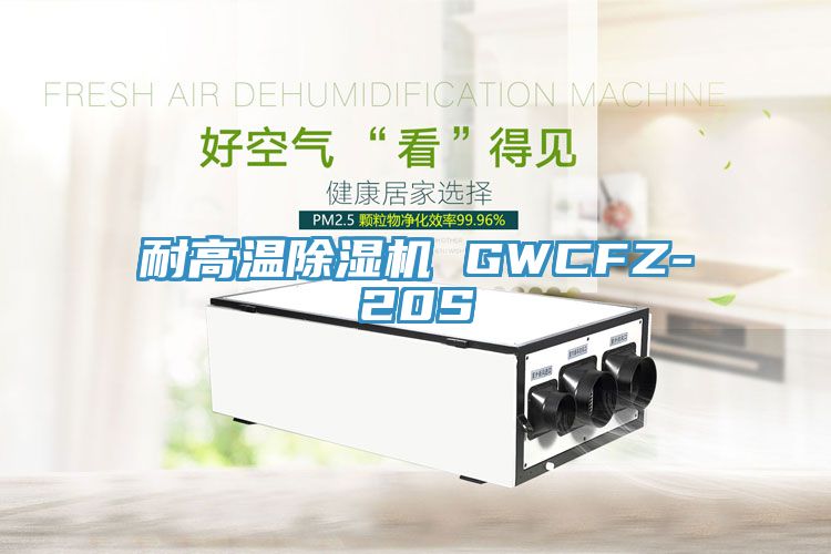 耐高溫除濕機(jī) GWCFZ-20S