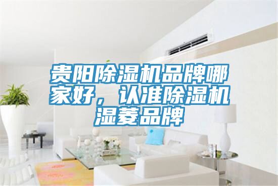 貴陽除濕機品牌哪家好，認準(zhǔn)除濕機濕菱品牌