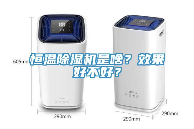 恒溫除濕機是啥？效果好不好？