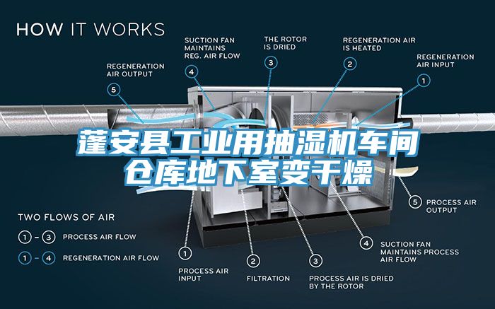 蓬安縣工業(yè)用抽濕機(jī)車間倉庫地下室變干燥