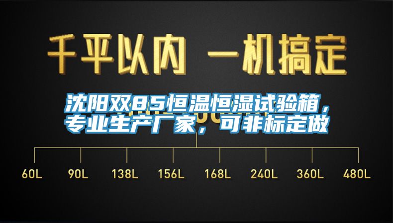 沈陽雙85恒溫恒濕試驗(yàn)箱，專業(yè)生產(chǎn)廠家，可非標(biāo)定做