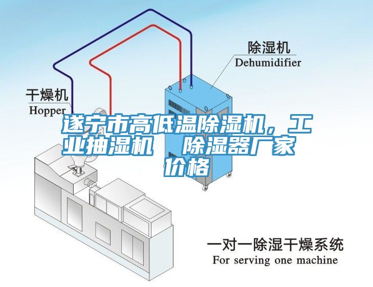 遂寧市高低溫除濕機(jī)，工業(yè)抽濕機(jī)  除濕器廠家 價(jià)格