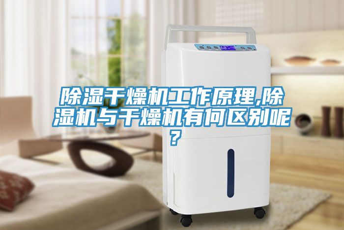 除濕干燥機工作原理,除濕機與干燥機有何區(qū)別呢？