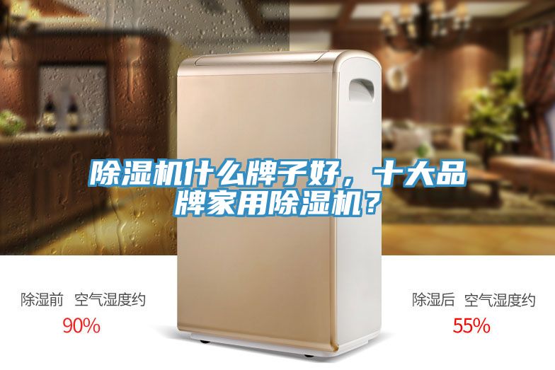 除濕機(jī)什么牌子好，十大品牌家用除濕機(jī)？