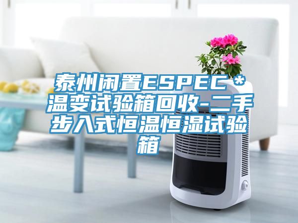 泰州閑置ESPEC＊溫變?cè)囼?yàn)箱回收-二手步入式恒溫恒濕試驗(yàn)箱