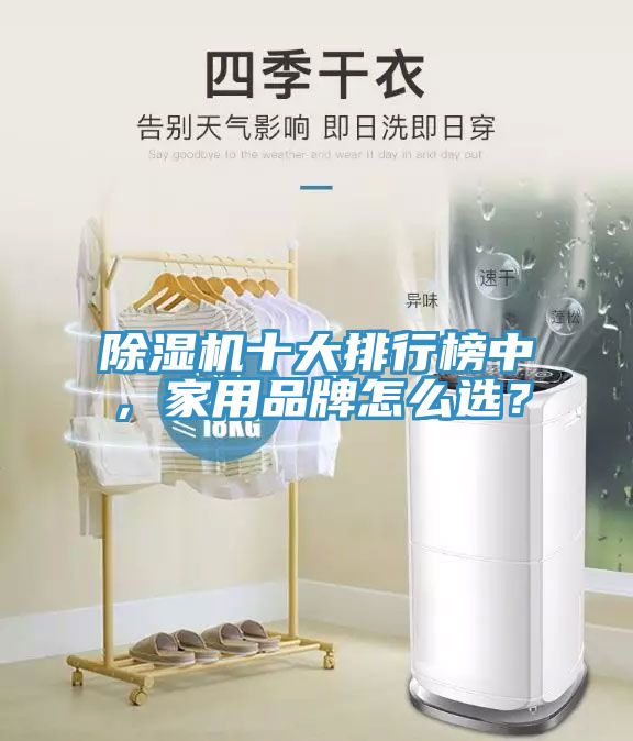 除濕機十大排行榜中，家用品牌怎么選？