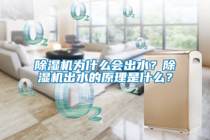 除濕機為什么會出水？除濕機出水的原理是什么？