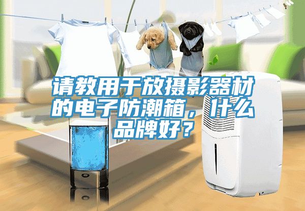 請(qǐng)教用于放攝影器材的電子防潮箱，什么品牌好？