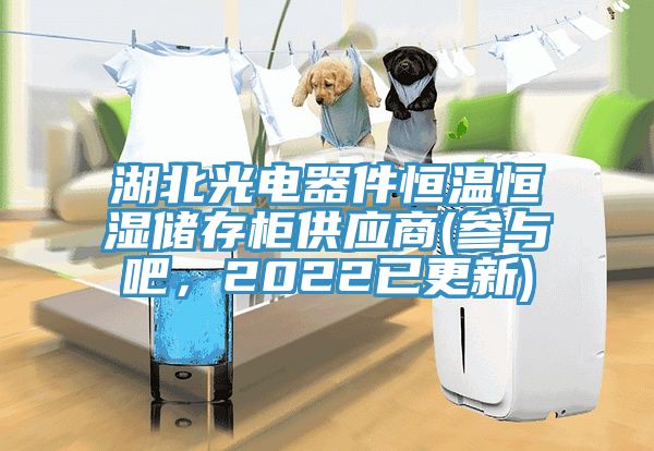 湖北光電器件恒溫恒濕儲存柜供應商(參與吧，2022已更新)