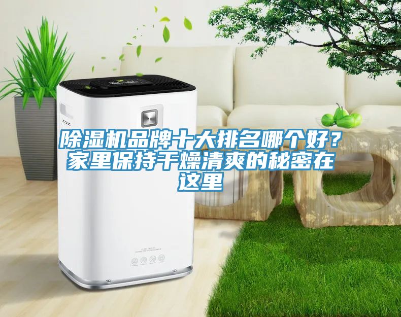 除濕機品牌十大排名哪個好？家里保持干燥清爽的秘密在這里