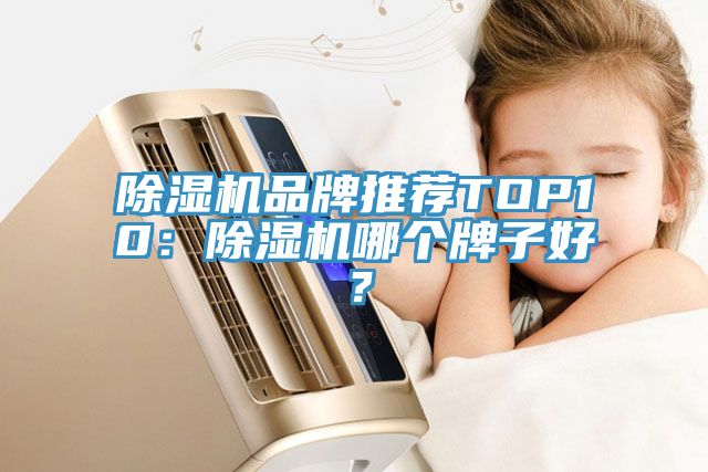 除濕機品牌推薦TOP10：除濕機哪個牌子好？