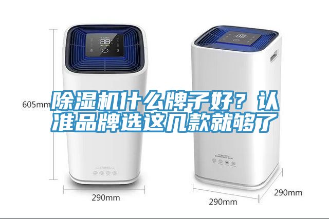 除濕機什么牌子好？認準品牌選這幾款就夠了