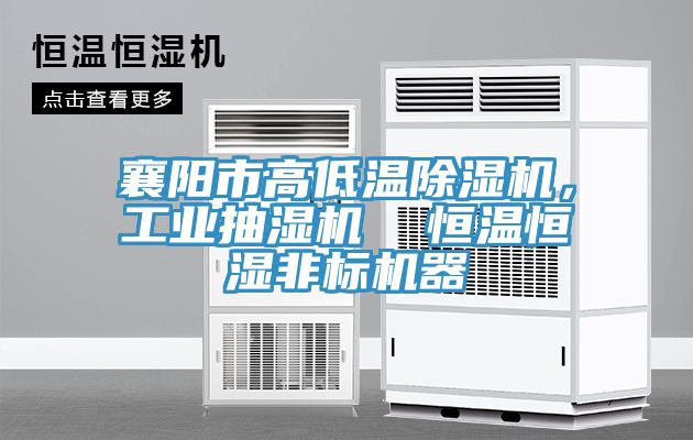 襄陽市高低溫除濕機，工業(yè)抽濕機  恒溫恒濕非標機器