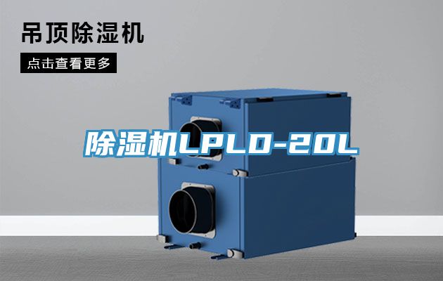 除濕機(jī)LPLD-20L