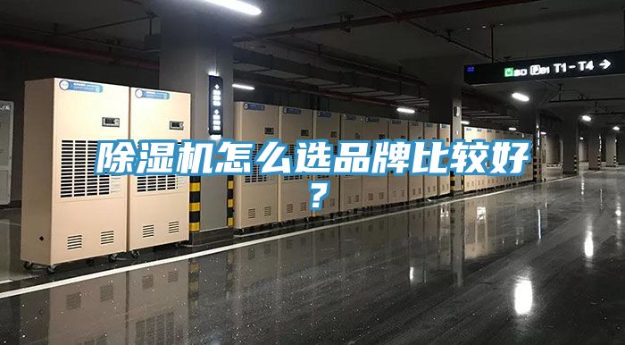 除濕機怎么選品牌比較好？