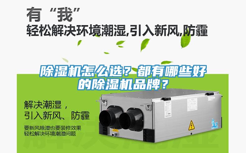 除濕機怎么選？都有哪些好的除濕機品牌？