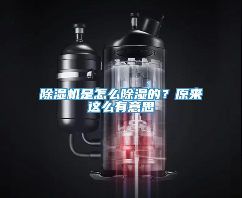 除濕機是怎么除濕的？原來這么有意思