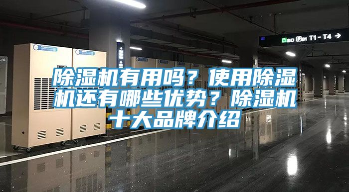 除濕機有用嗎？使用除濕機還有哪些優(yōu)勢？除濕機十大品牌介紹