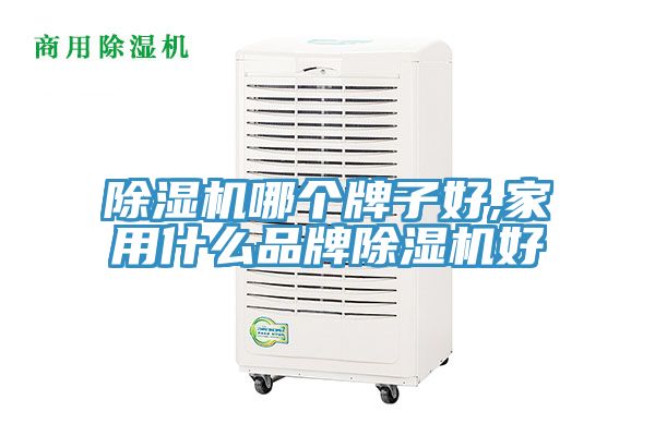 除濕機(jī)哪個牌子好,家用什么品牌除濕機(jī)好