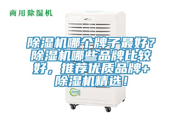 除濕機哪個牌子最好？除濕機哪些品牌比較好，推薦優(yōu)質(zhì)品牌+除濕機精選！