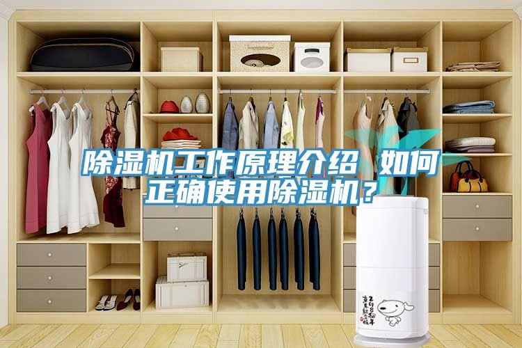 除濕機(jī)工作原理介紹 如何正確使用除濕機(jī)？