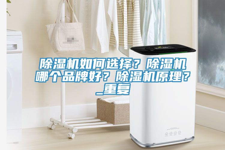 除濕機如何選擇？除濕機哪個品牌好？除濕機原理？_重復(fù)