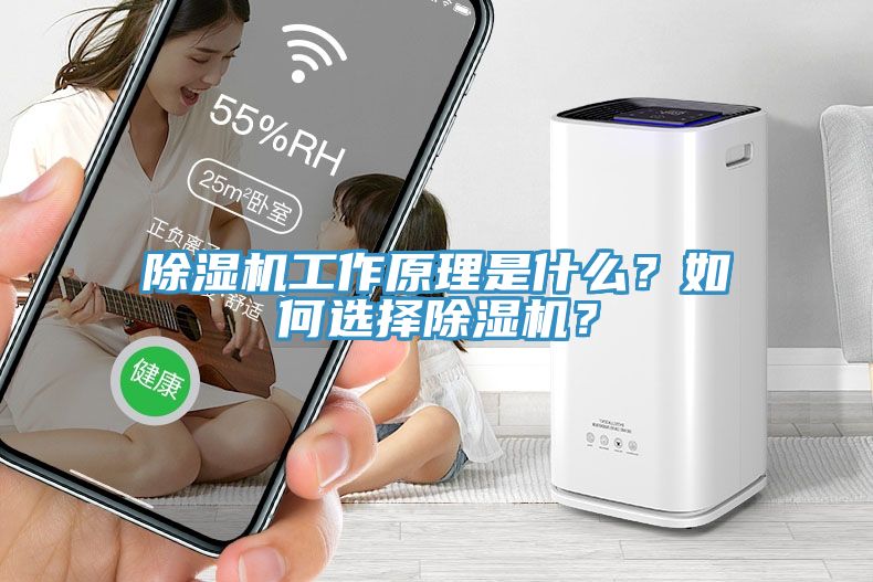 除濕機工作原理是什么？如何選擇除濕機？