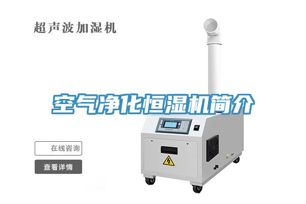 空氣凈化恒濕機(jī)簡介