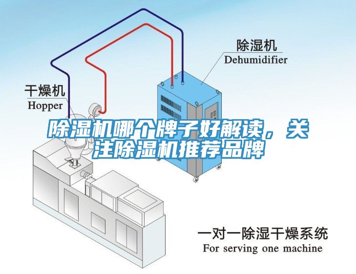 除濕機(jī)哪個(gè)牌子好解讀，關(guān)注除濕機(jī)推薦品牌