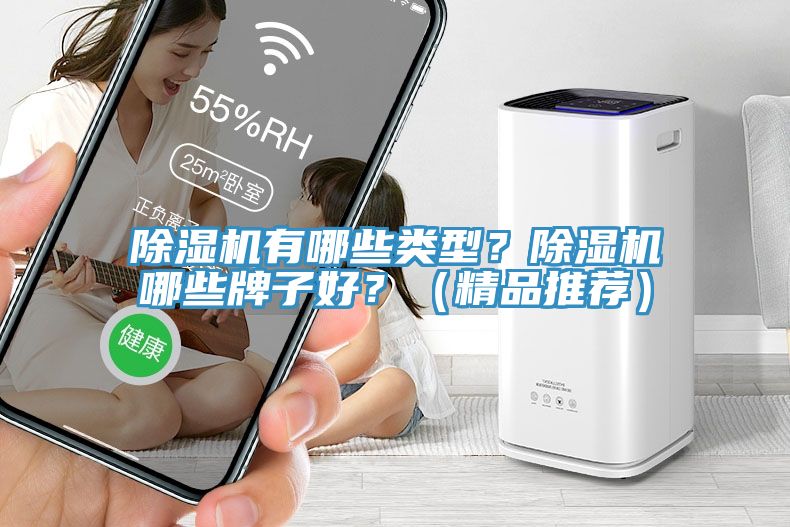 除濕機有哪些類型？除濕機哪些牌子好？（精品推薦）